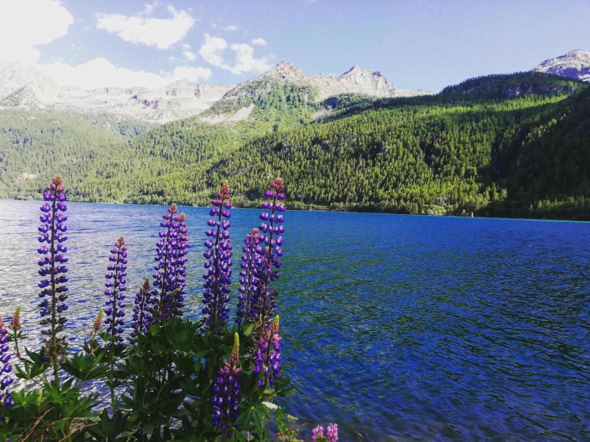 Вилла Turismo In Valle Orco Ai Piedi Del Gran Paradiso 2 Locana Экстерьер фото